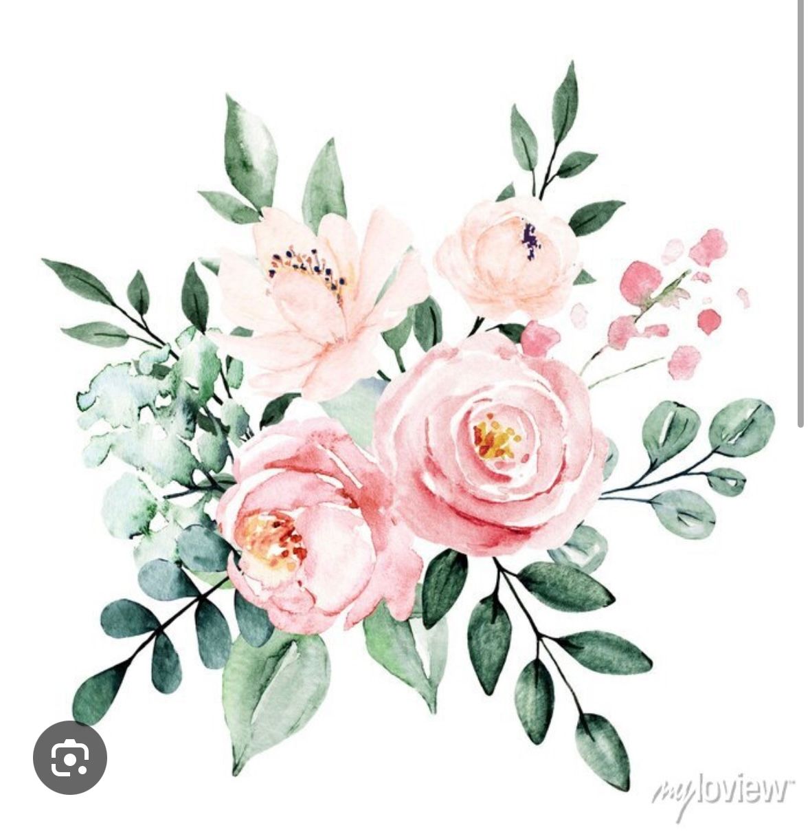 Dreamy Watercolor Florals 