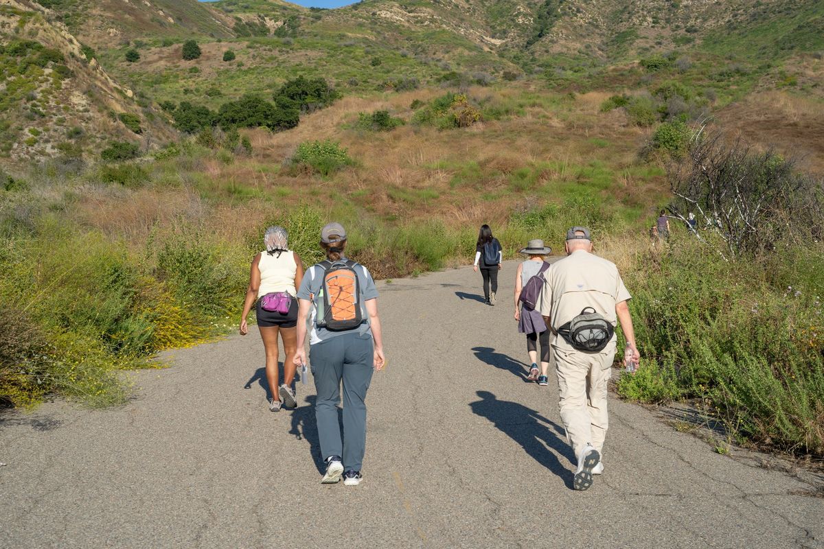 Evening Hike on Hicks Haul Road