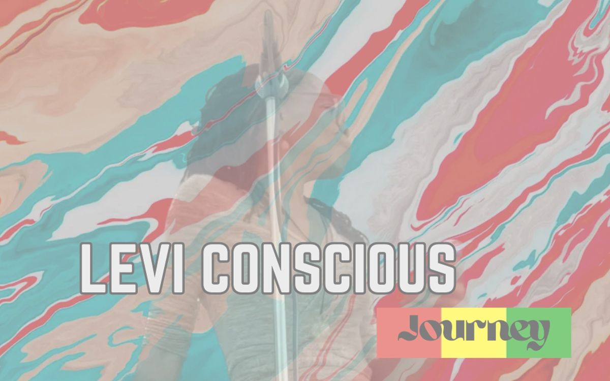 Levi Conscious - Reid's Concert Series 