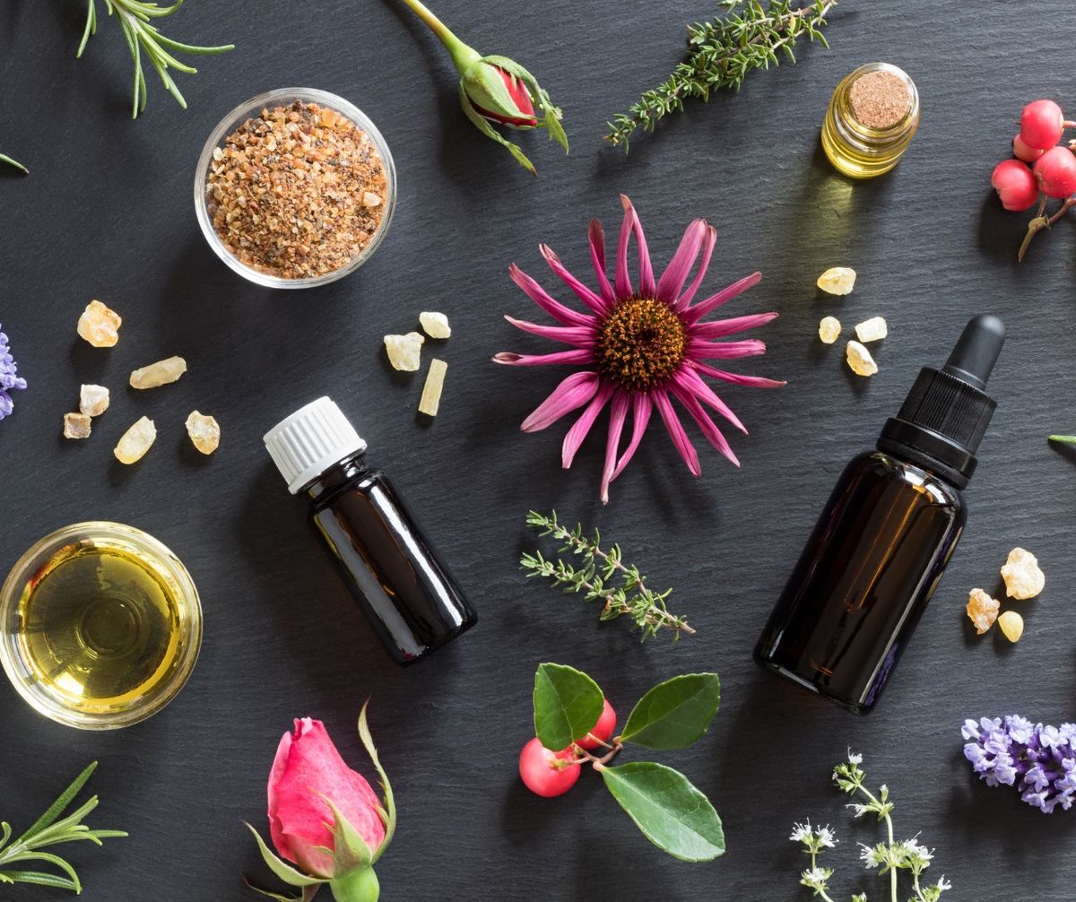 Herbal First Aid: Discover the healing power of nature