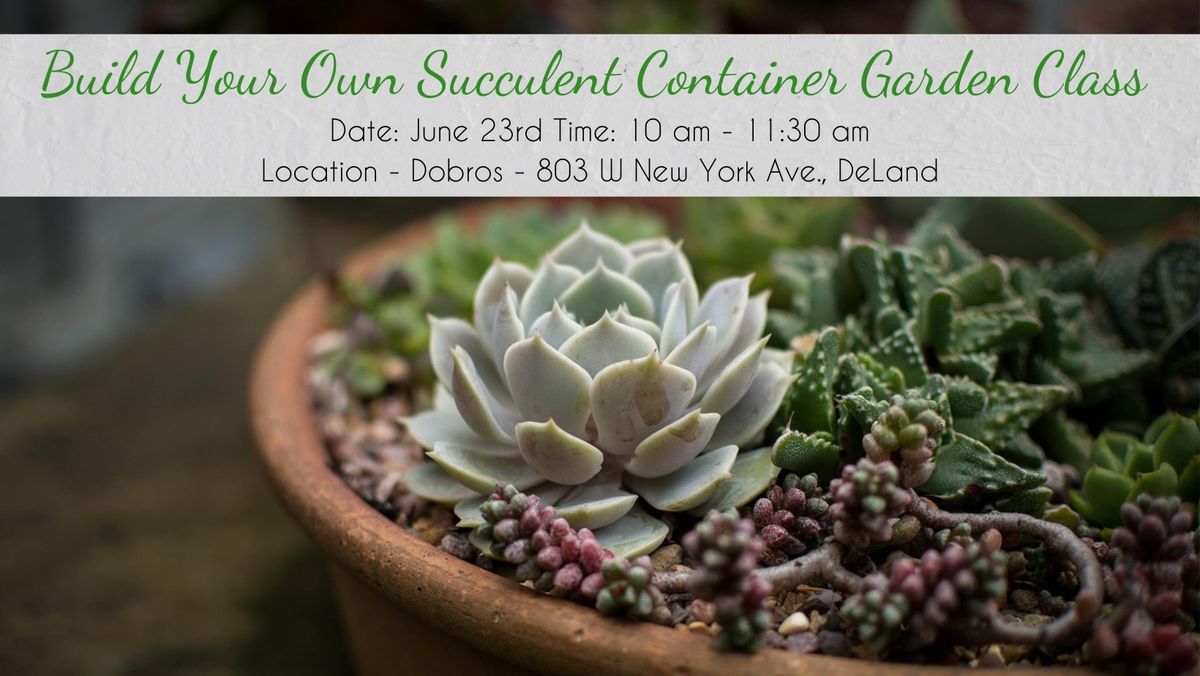 Build Your Own Succulent Container Garden Class