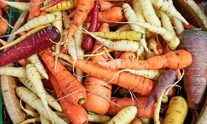 Growing Root Crops class