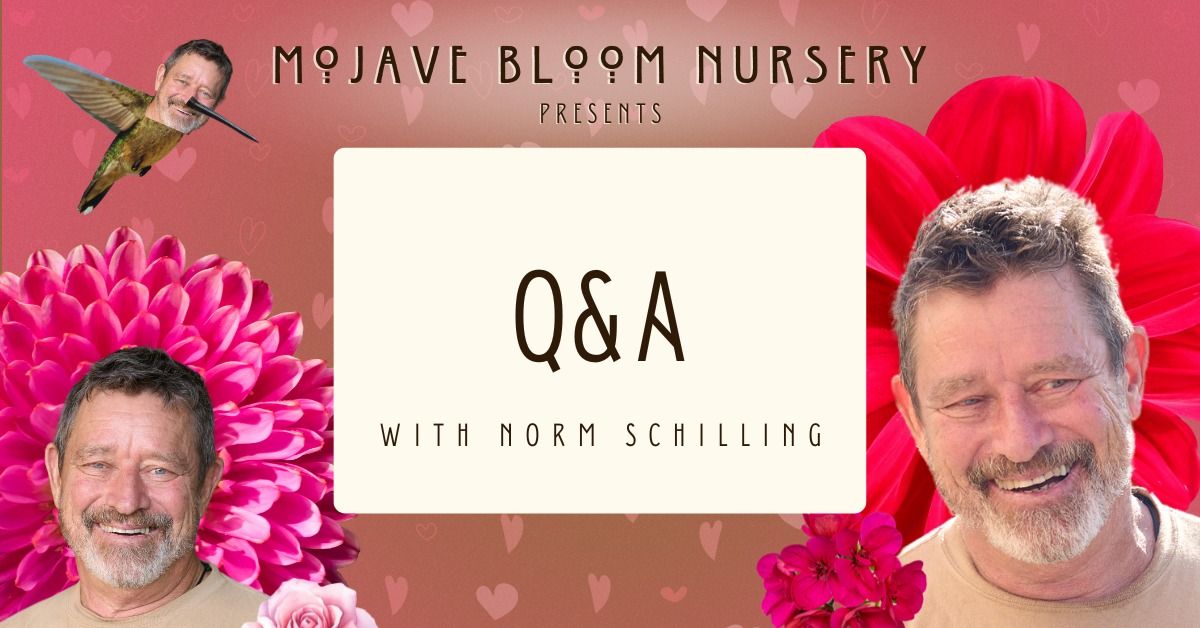 Q&A with Norm Schilling