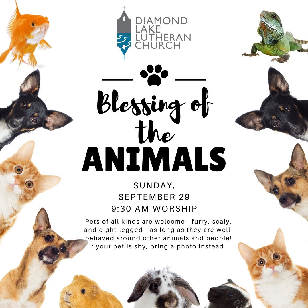 Blessing of the Animals