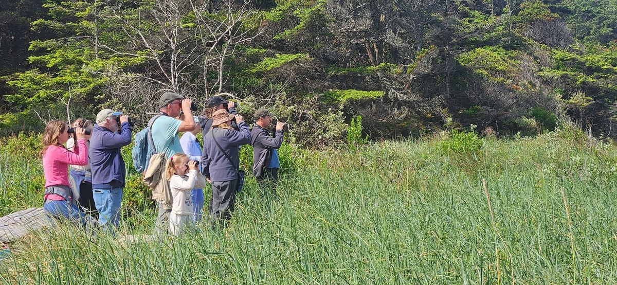 Seven Capes Bird Walk - Ona Beach & Beavercreek State Recreation Area