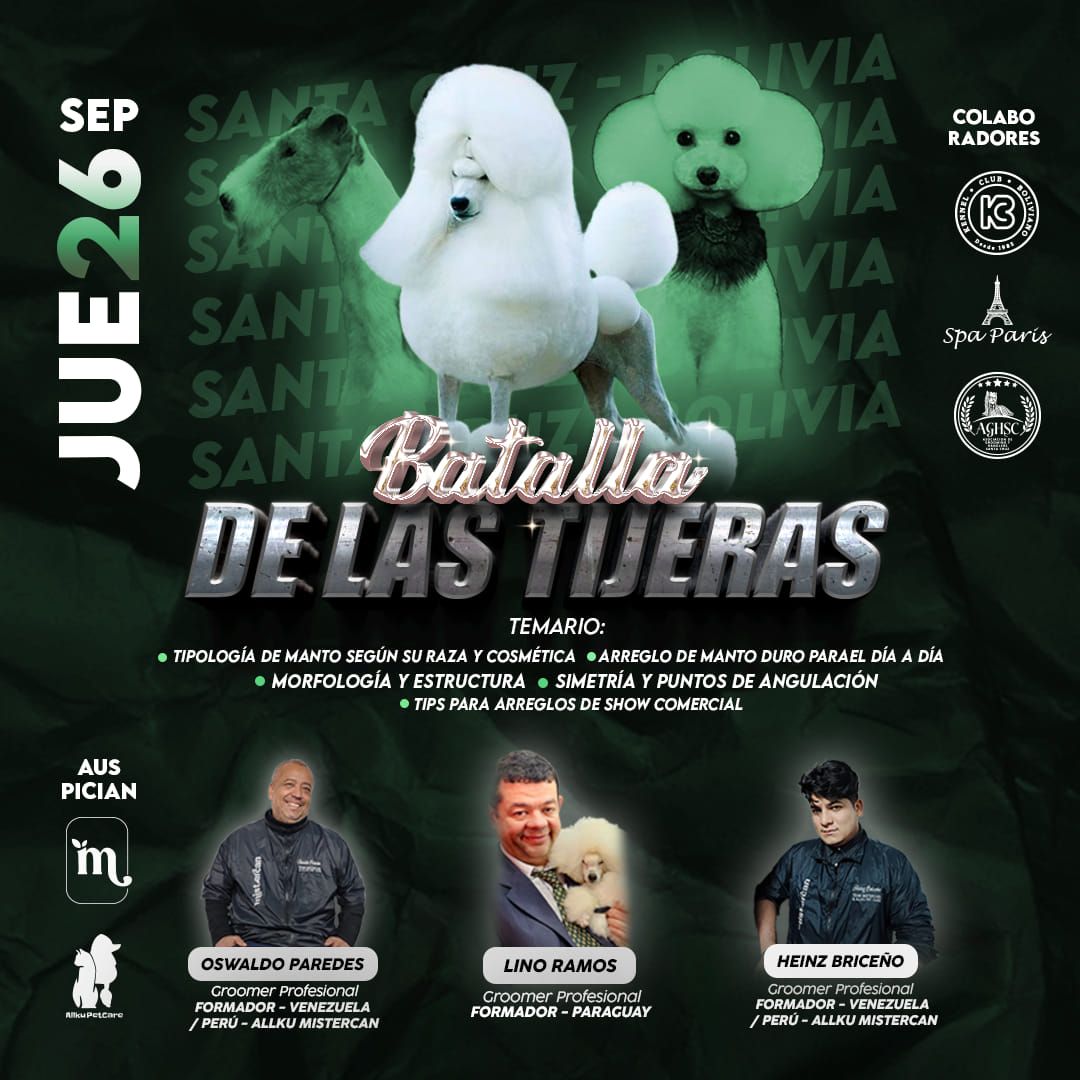 Seminario de Peluquer\u00eda Batalla de las Tijeras