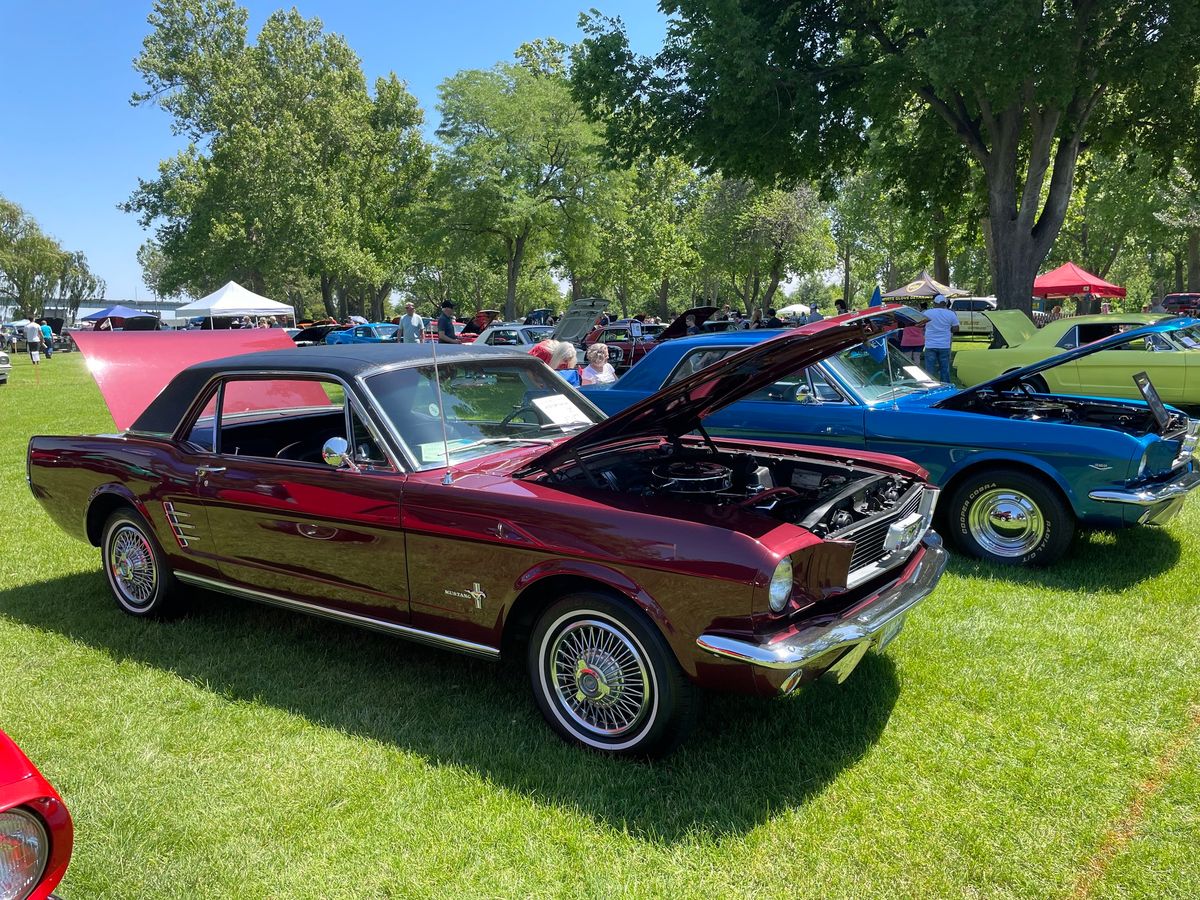 Spring Show: Mustangs on the Columbia