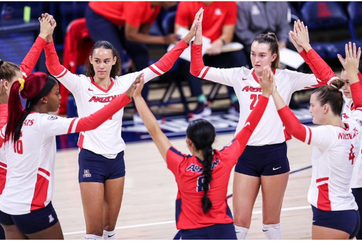 Colorado Buffaloes at Arizona Wildcats Womens Volleyball