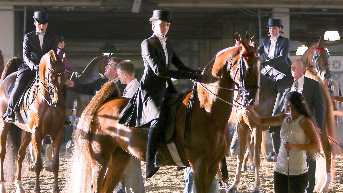 World's Championship Horse Show