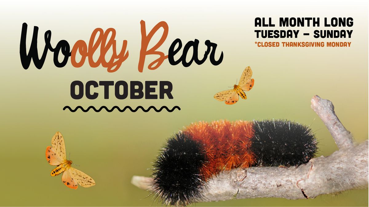 WOOLLY BEAR OCTOBER (Oct 1 - Oct 31, 2024)