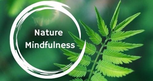 Nature Mindfulness  - small group Ecotherapy