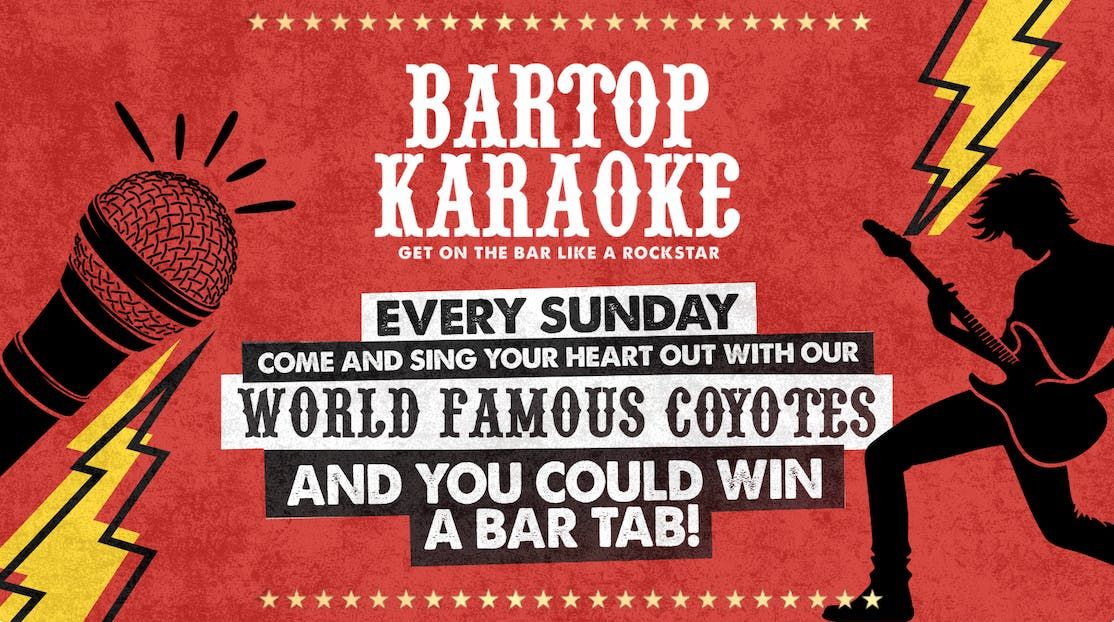 BARTOP KARAOKE