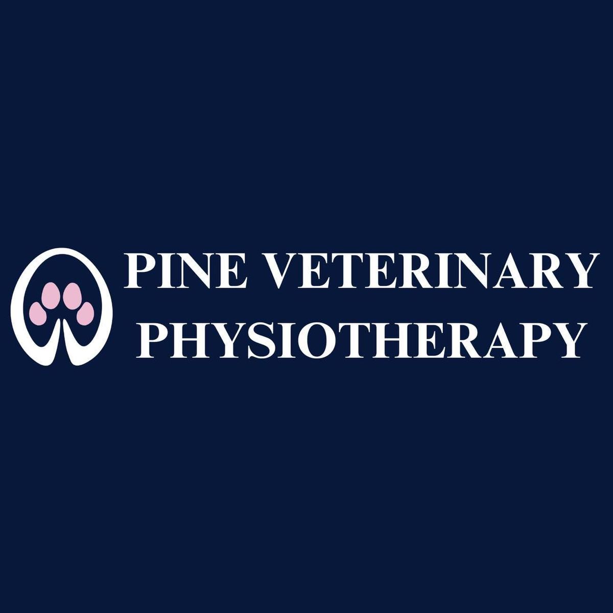 Introduction to Veterinary Physiotherapy 