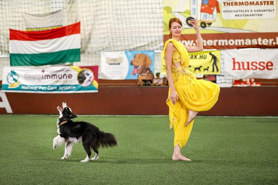 Stage dog dancing Avec ANASTASIIA BEAUMONT 