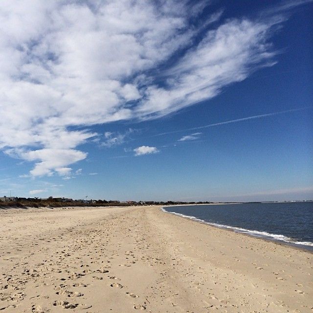 Lewes Beach Day