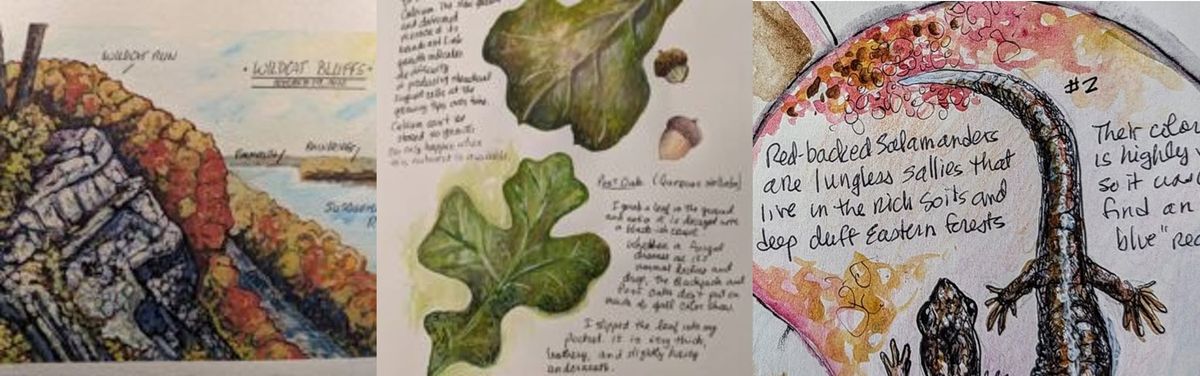 The Craft of Nature Journaling - An Introduction 