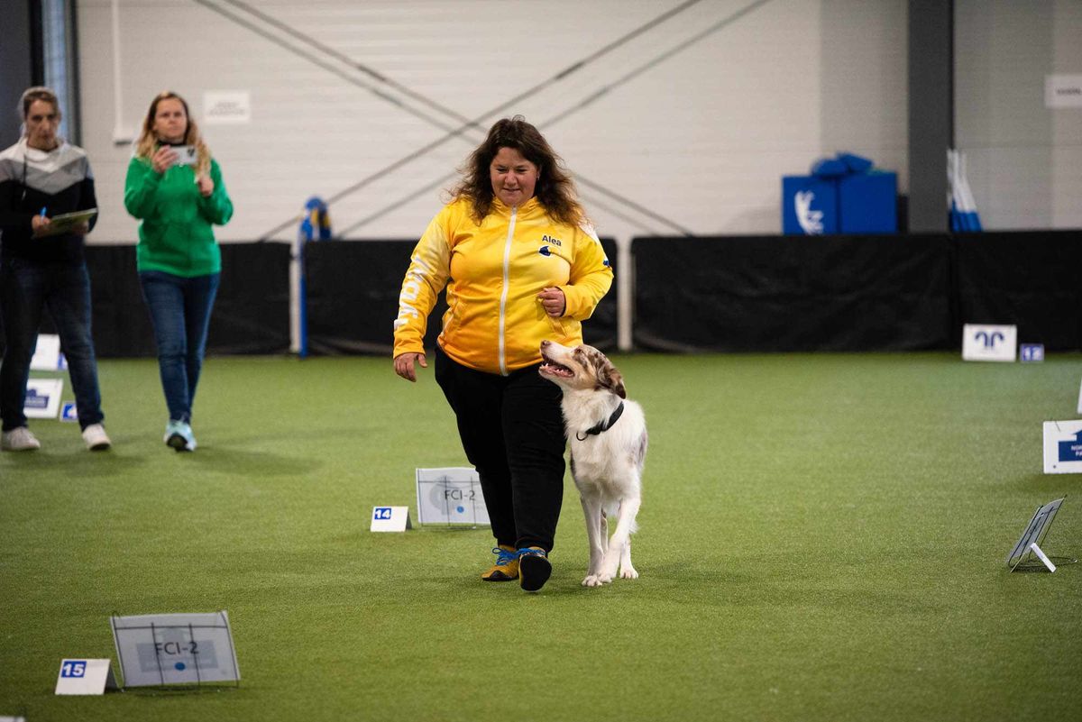 Semin\u00e1\u0159 Rally obedience se Sabinou a Markem