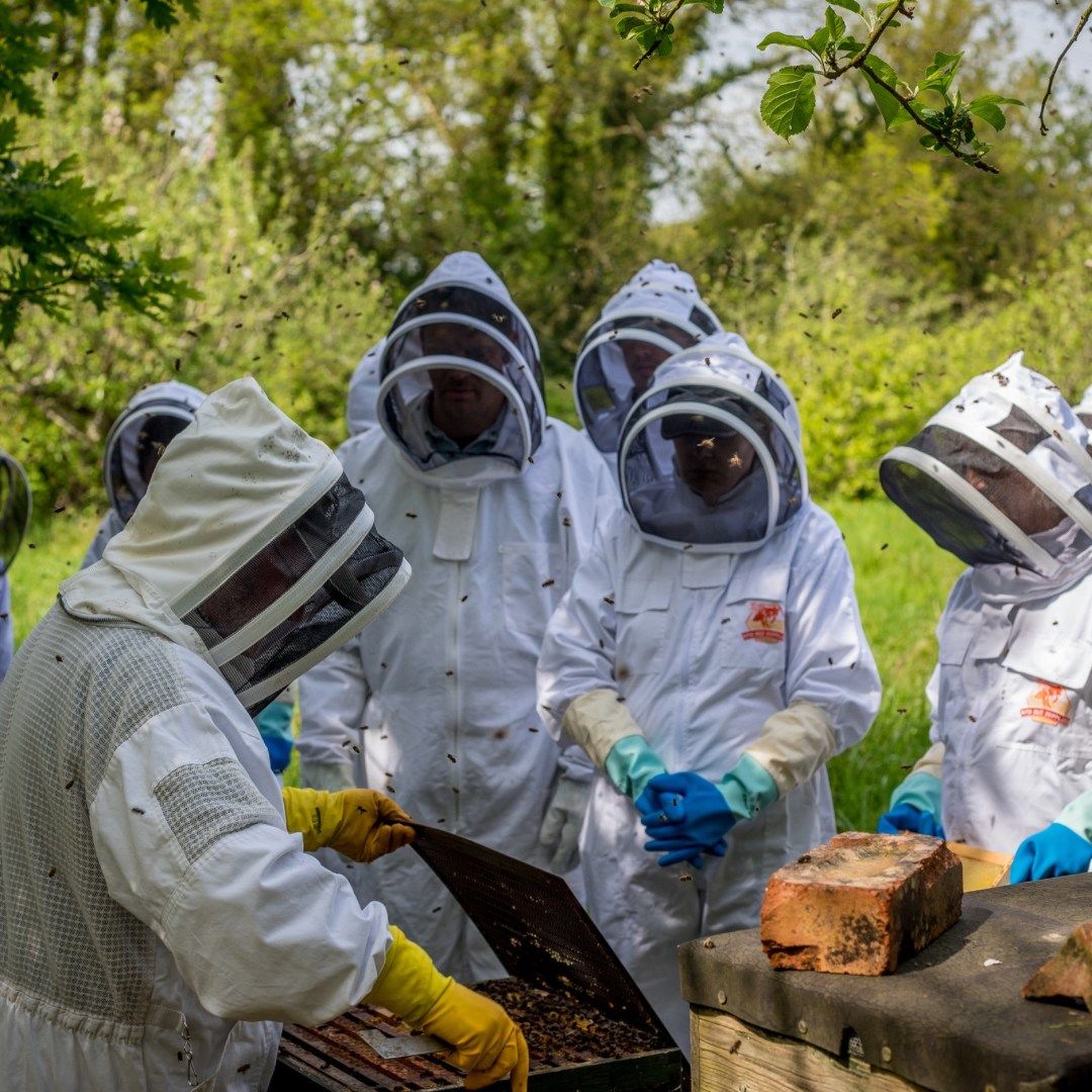 Introduction to Beekeeping