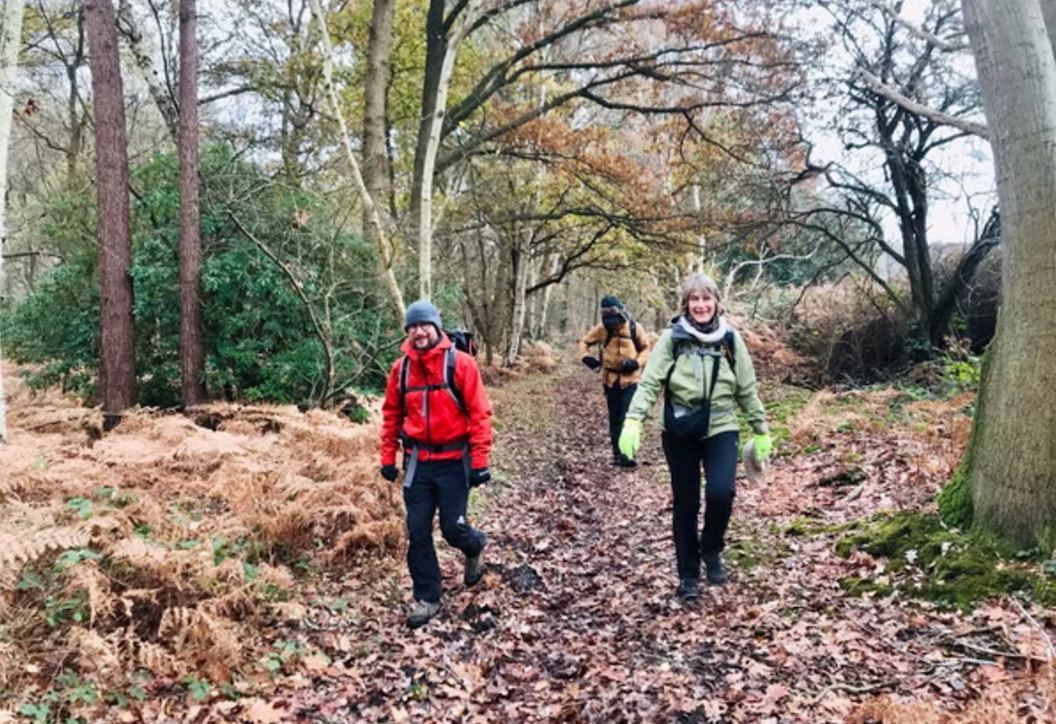 Sun Jan 26 \u00b7 The Charming Woods North of Woking, the McLaren Park & Basingstoke Canal 