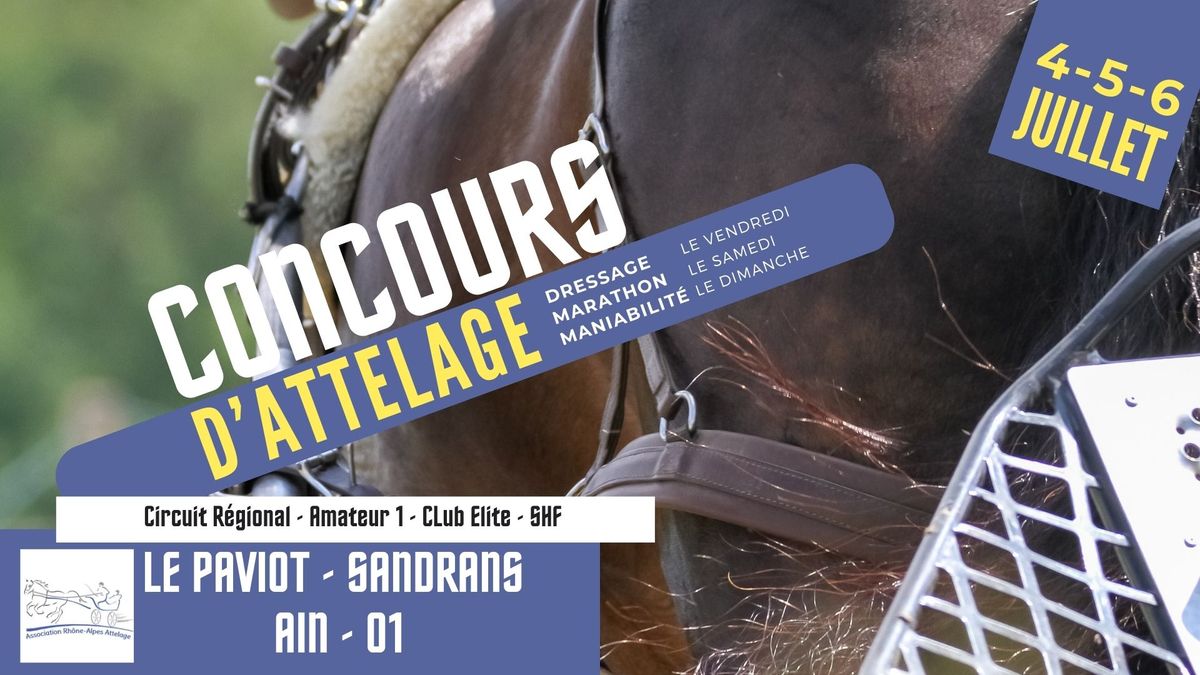 Concours Attelage - 3 Tests - Circuit R\u00e9gional - Amateur 1 - Club Elite - SHF