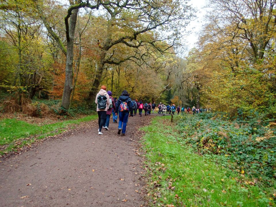  Explore and Delight in the Charm of Epping Forest! - 16 JUN 2024