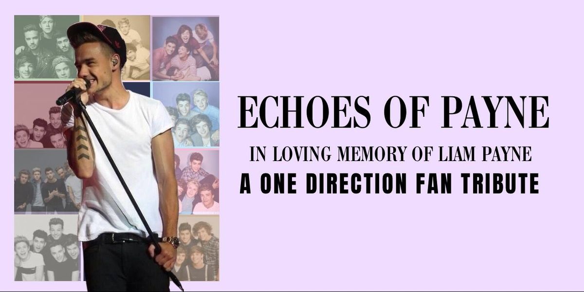 ONE DIRECTION TRIBUTE -ECHOES OF PAYNO