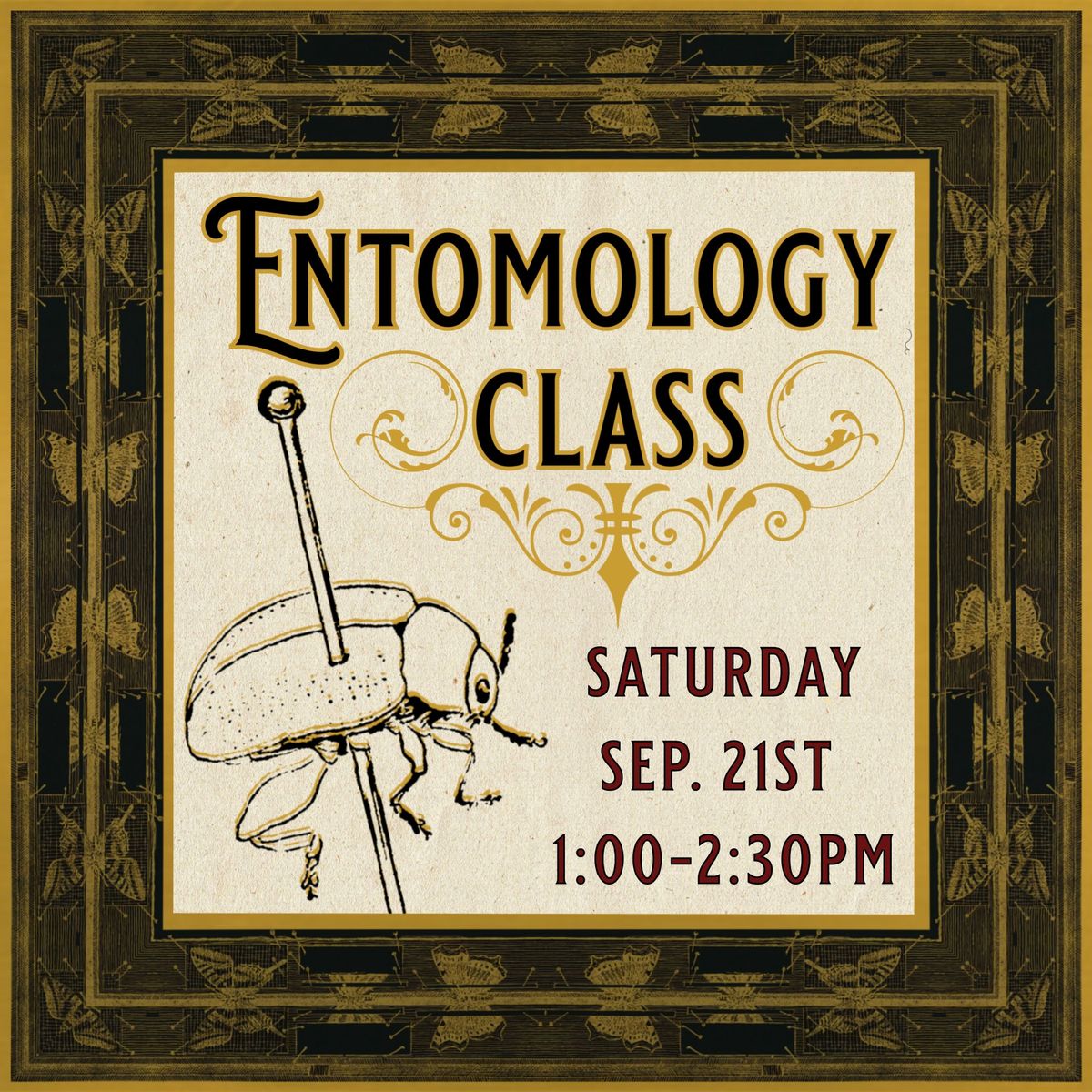 09\/21\/24 Entomology Class