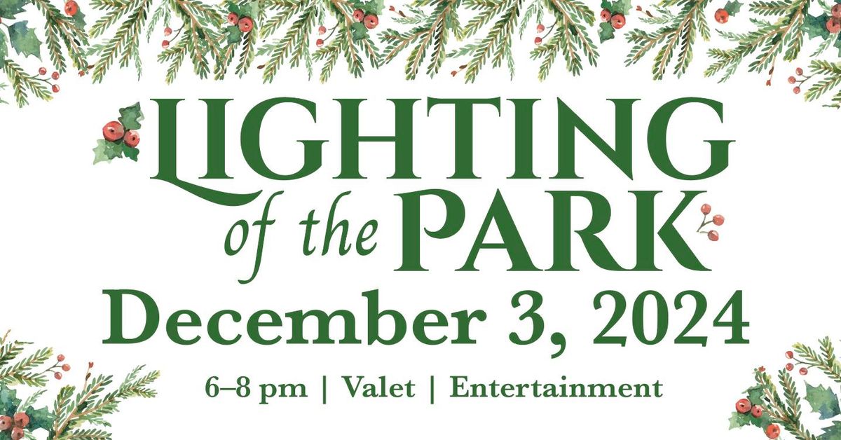 Lighting of the Park