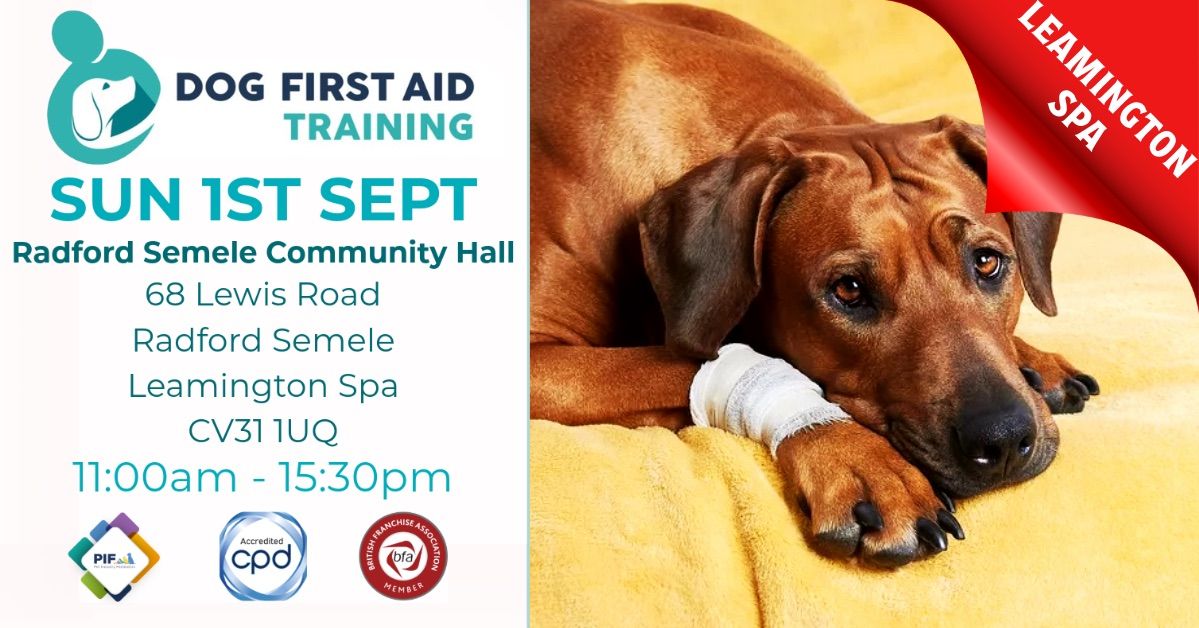 Radford Semele - Leamington Spa Dog First Aid Course \u2764\ufe0f\u200d\ud83e\ude79\ud83d\udc3e