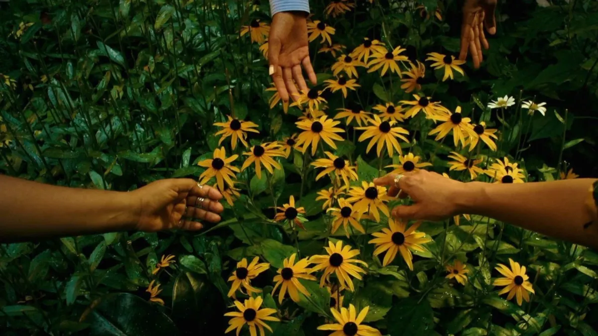 Dominique Fils-Aim\u00e9 in Montr\u00e9al