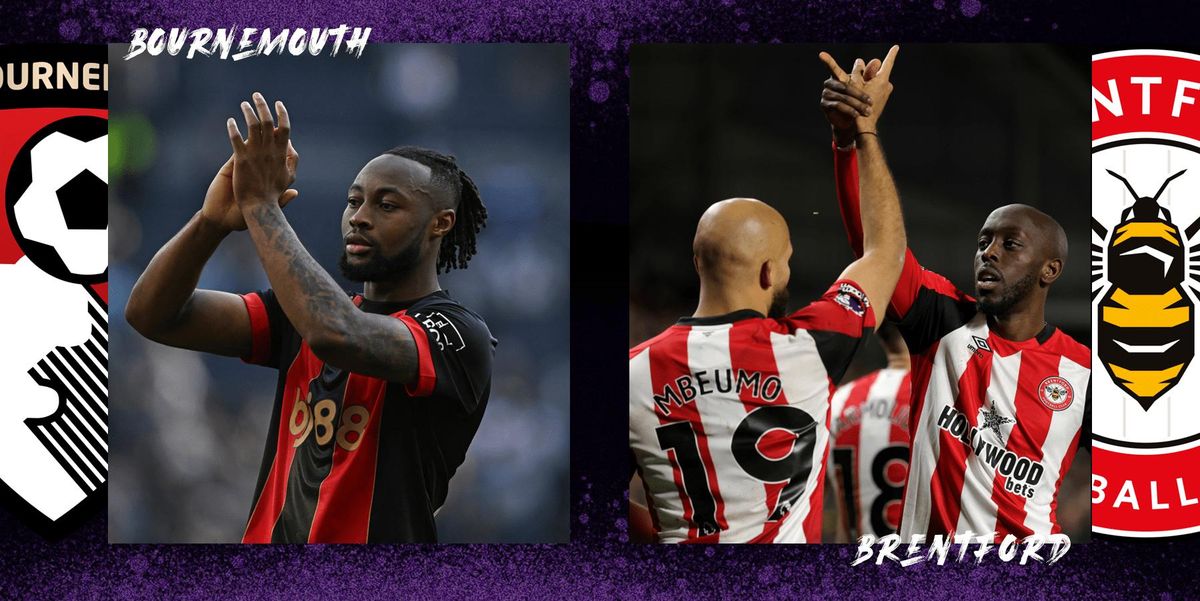AFC Bournemouth vs Brentford FC at Vitality Stadium