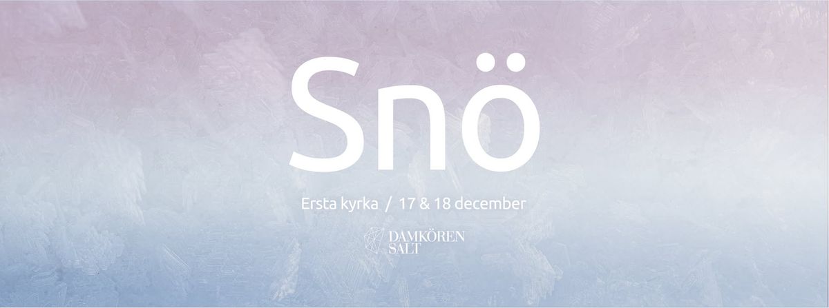 Sn\u00f6 - Julkonserter med Damk\u00f6ren SALT