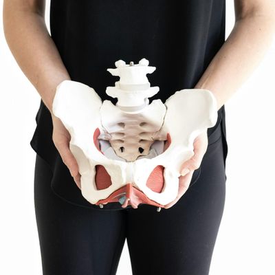 HW Women's Health feat Meghan Blanchard, PT