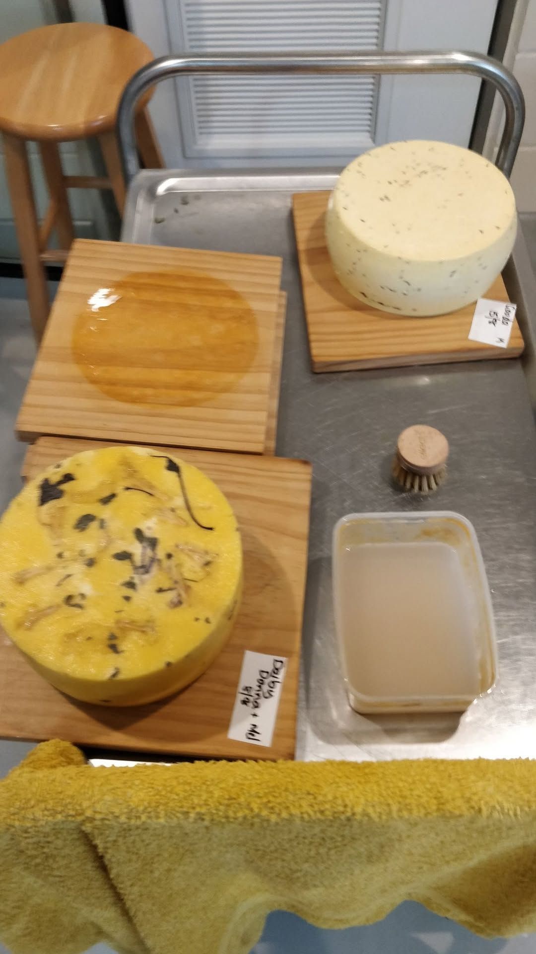 Cheese Making Workshop