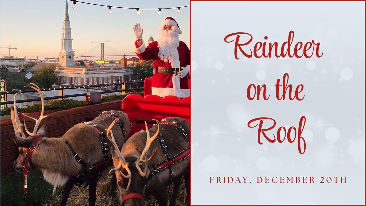 Reindeer on the Roof at Perry Lane Hotel