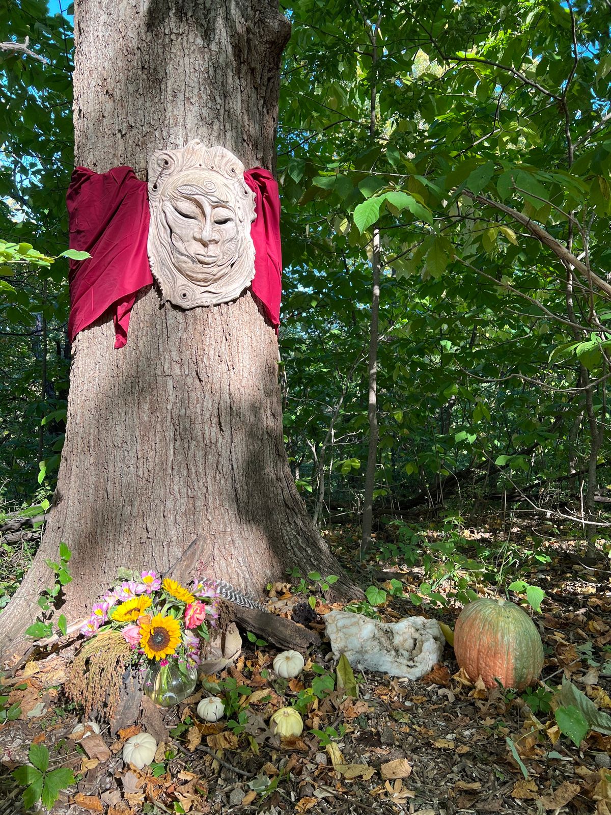 For the Forest: An Environmental Art Experience