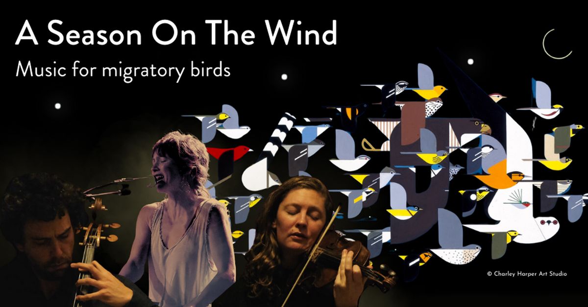 A Season on the Wind: A Cinematic Concert Celebrating Migratory Birds