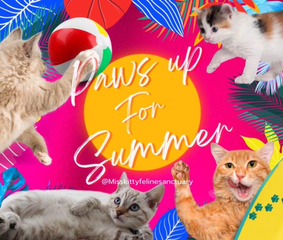 Paws up for Summer!