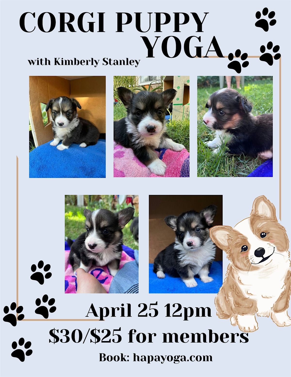 Corgi Puppy Yoga