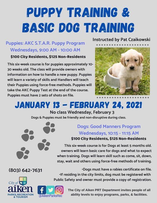 Dog Training Odell Weeks Aiken 3 March 21