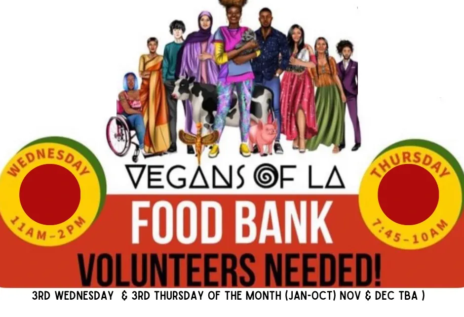 Vegan Foodbank Volunteer Day (Sorting Day)