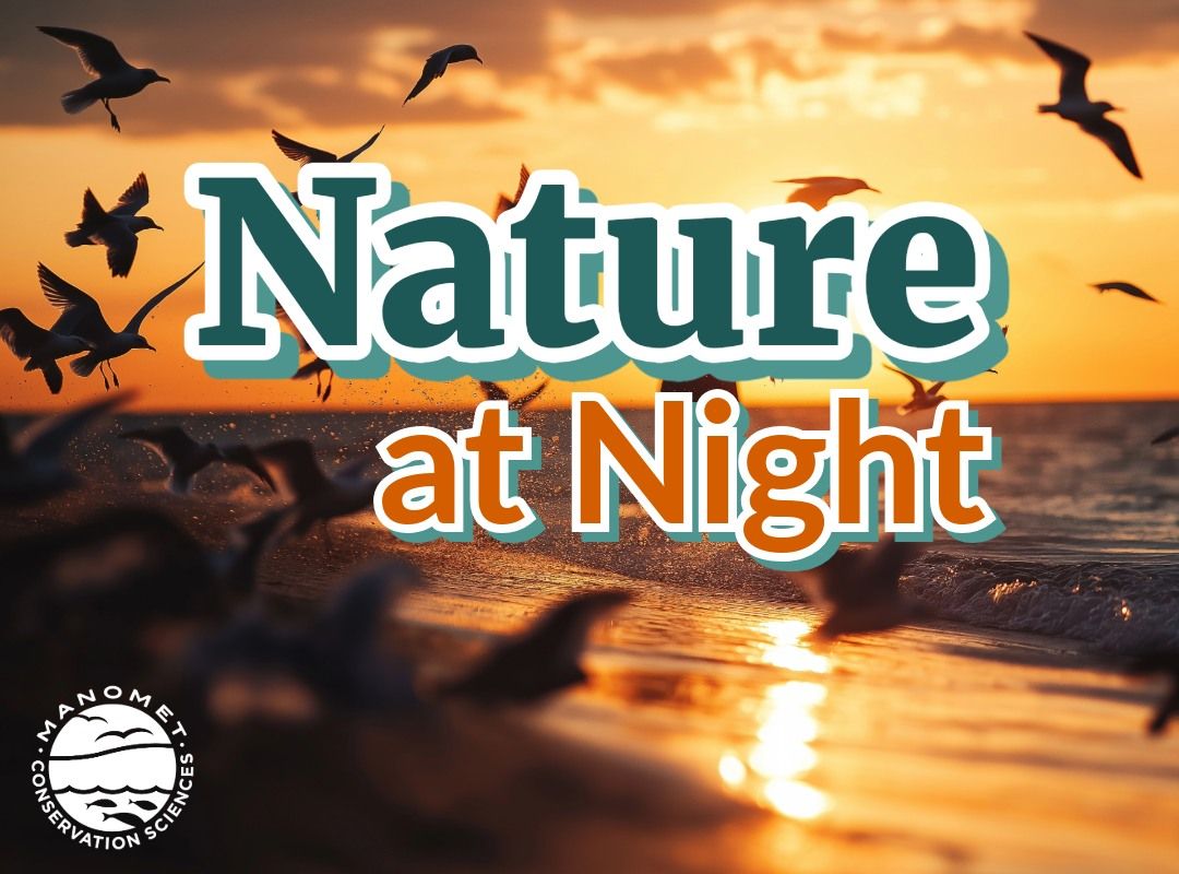 Nature at Night: Earth Day after Dark! 