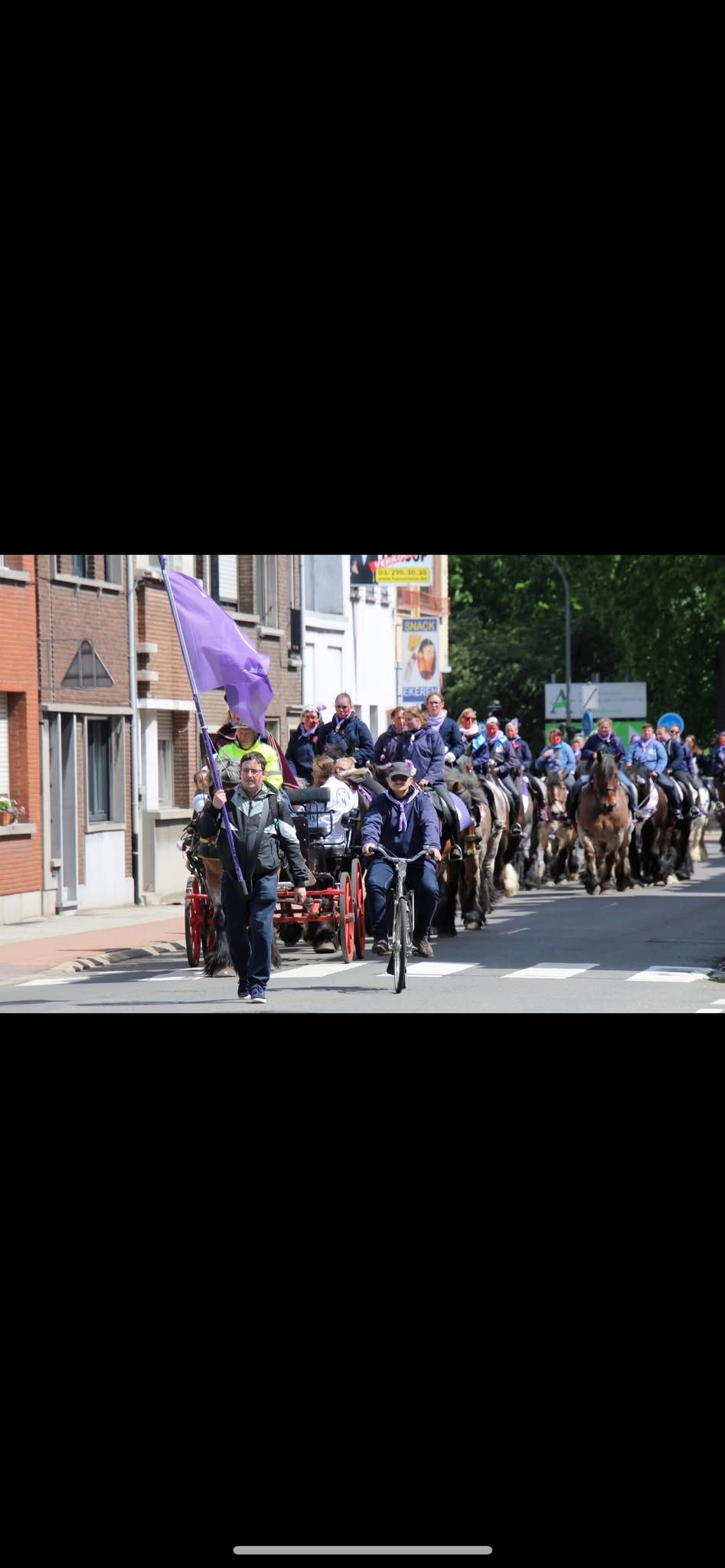 Ganzenrijden de vrije gans 