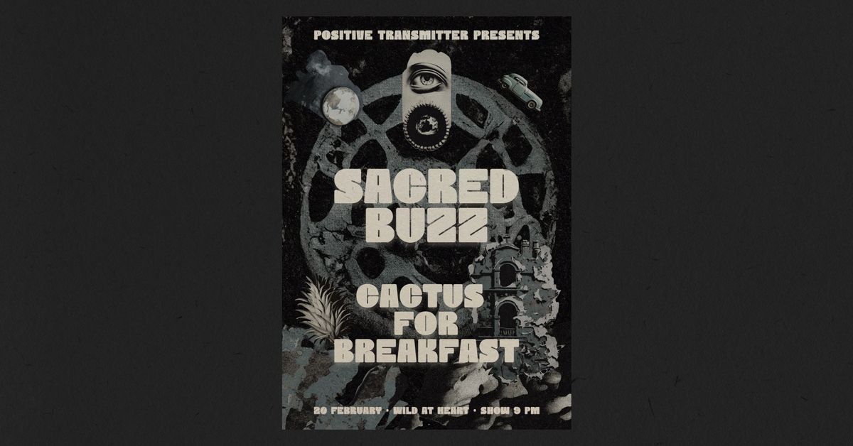 Sacred Buzz (Psych garage) + Cactus For Breakfast (Surf Psych)