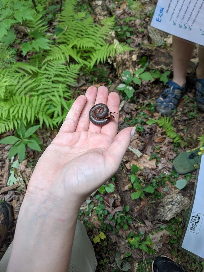 Tales of Scales Junior Ranger Camp