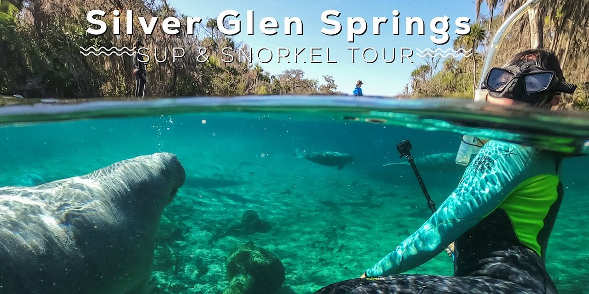 Silver Glen Springs Manatee Tour - SUP and Snorkel