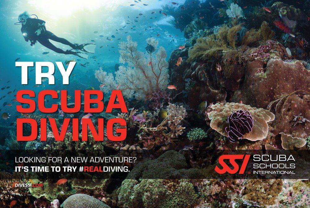 Try Scuba Diving Course