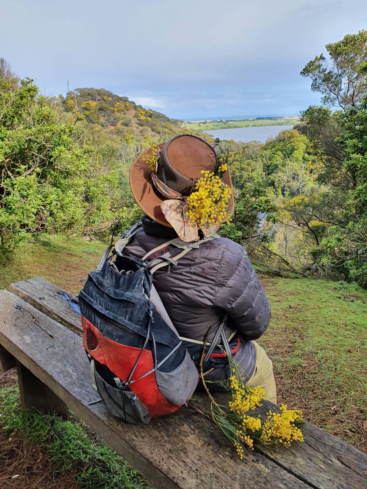 International Forest Therapy Guide Training (Australia) - September 2024