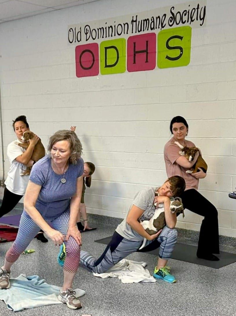 Puppy yoga- second Friday