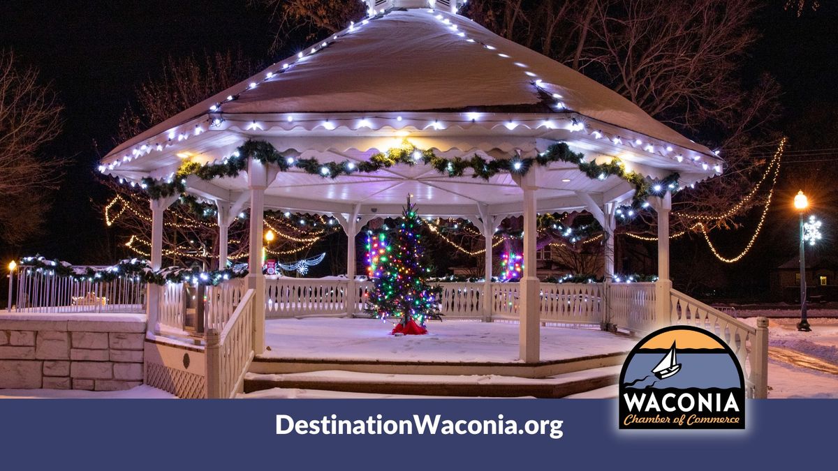 Waconia Tree Lighting